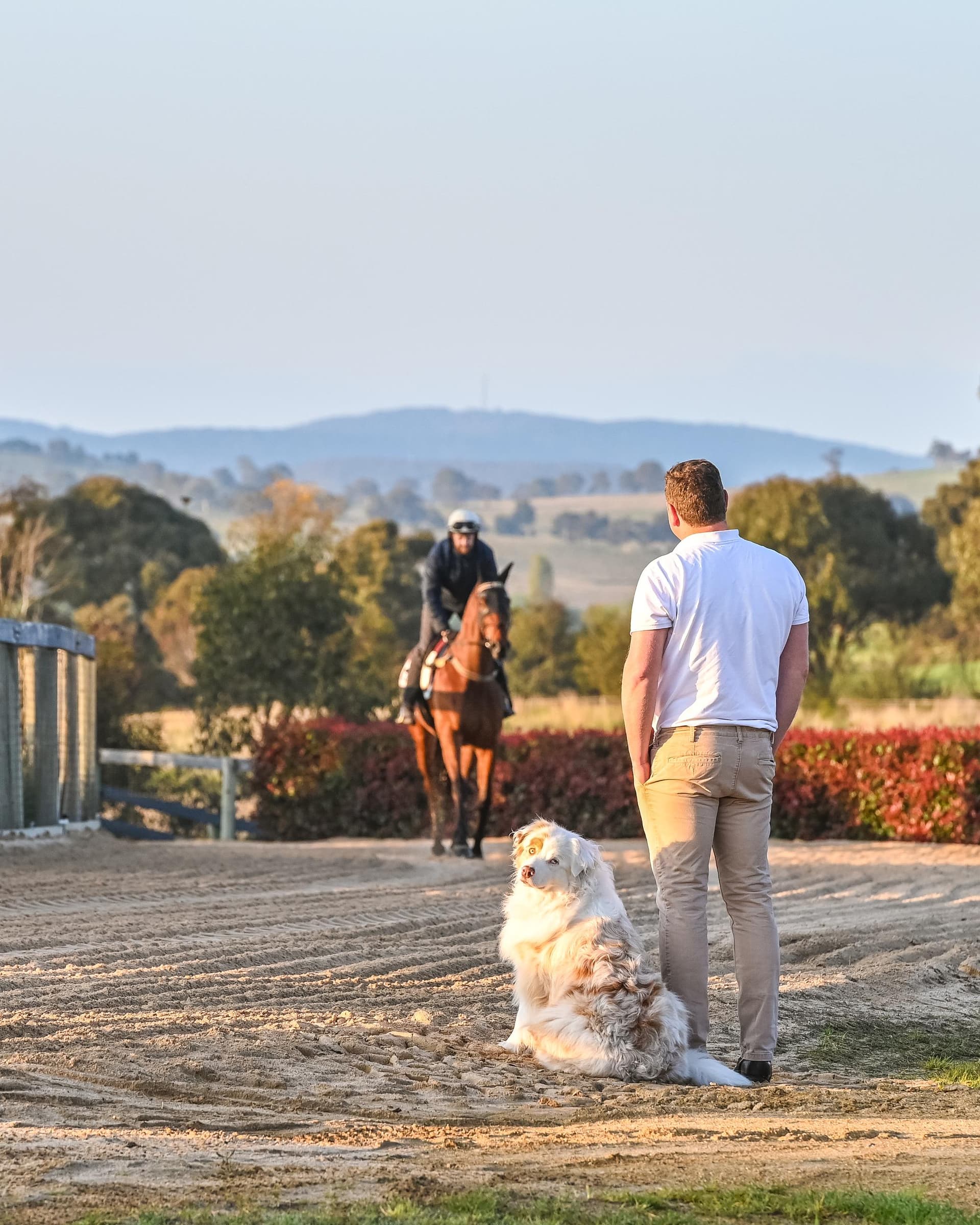 Kurt Goldman_Ziggy MAIN IMAGE.JPG